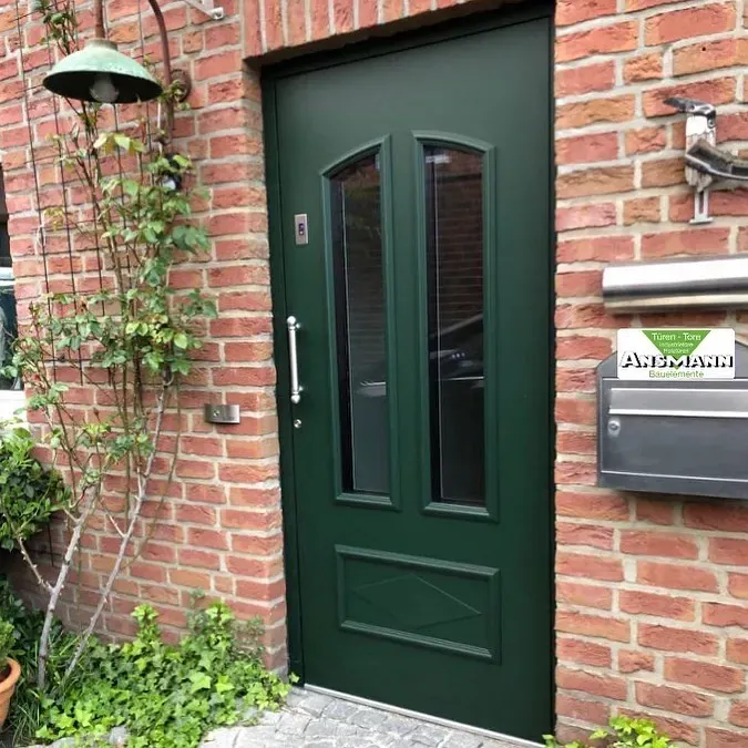 RAL 6009 front door paint review