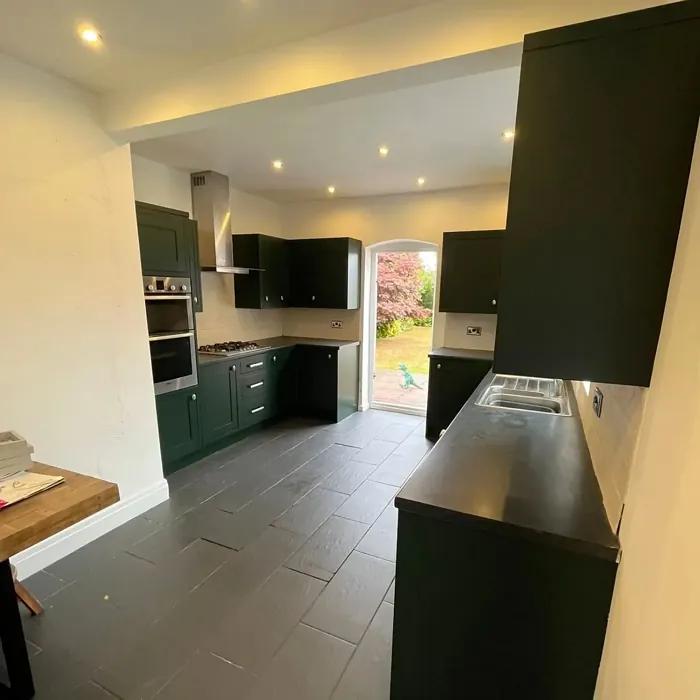 RAL 6009 kitchen cabinets color