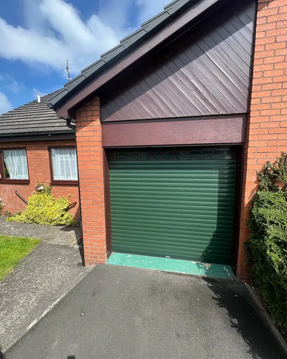 RAL 6009 garage doors