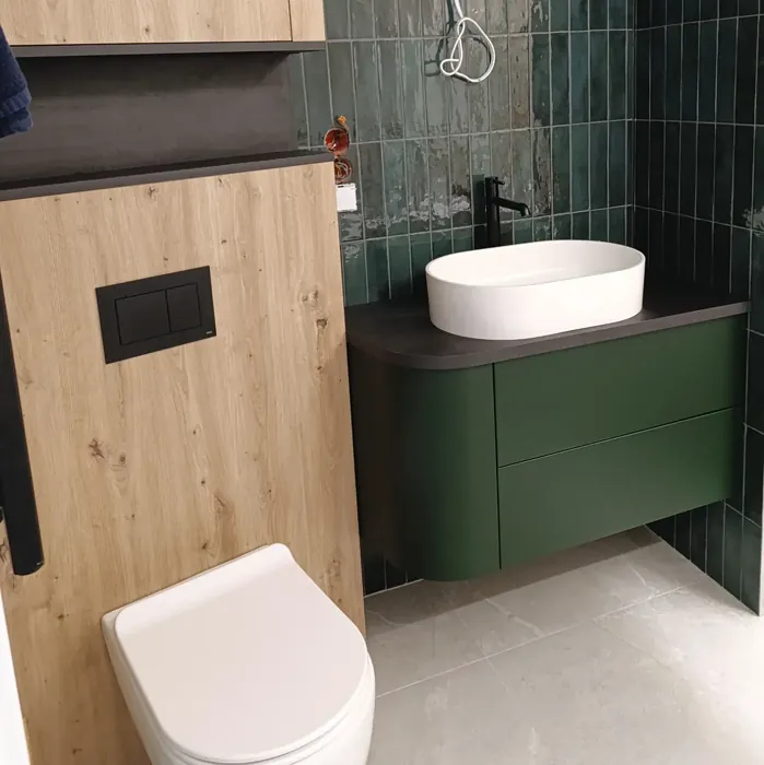 RAL 6009 bathroom vanity color