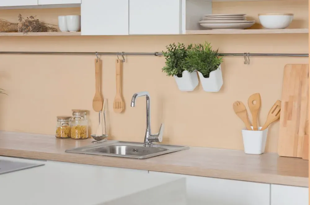 Sherwin Williams Flattering Peach kitchen backsplash