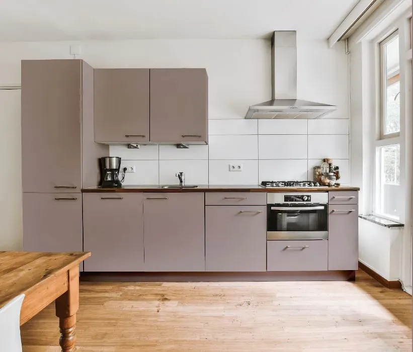 Sherwin Williams Flexible Gray kitchen cabinets
