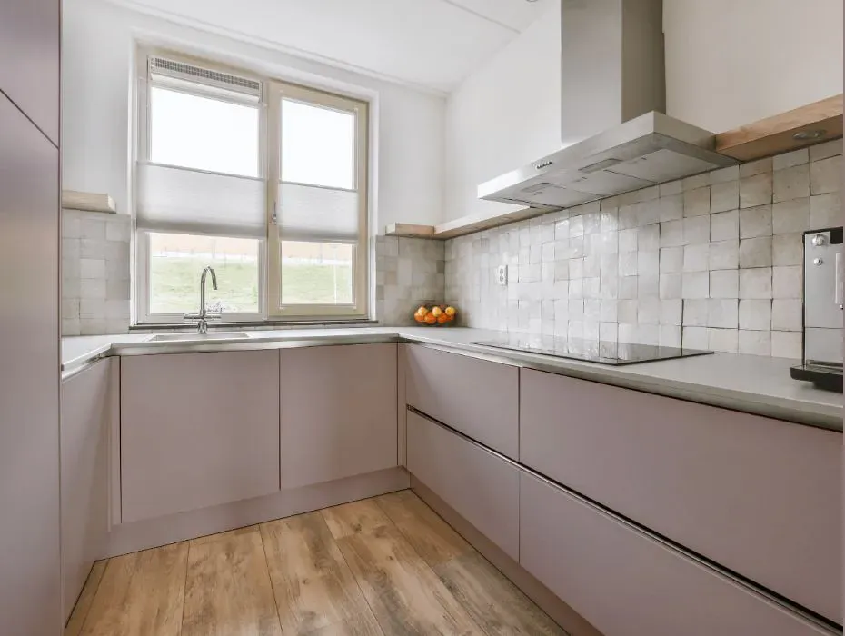 Sherwin Williams Flexible Gray small kitchen cabinets