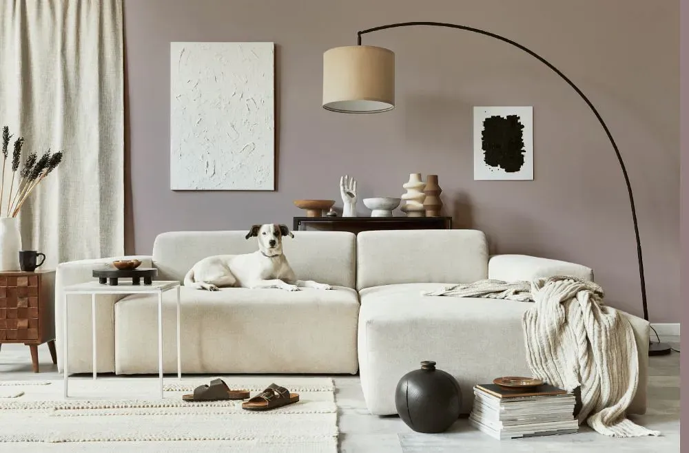 Sherwin Williams Flexible Gray cozy living room