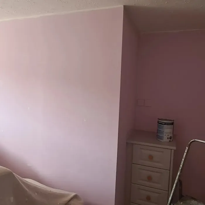 Dulux Floating Petal wall paint 