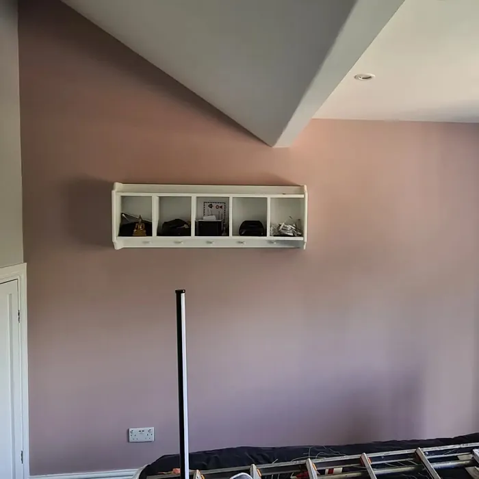 Dulux Floating Petal wall paint color review