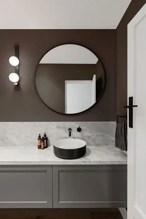 Sherwin Williams Folkstone minimalist bathroom