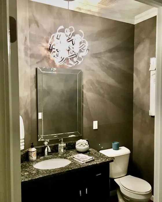 Sherwin Williams Folkstone Bathroom