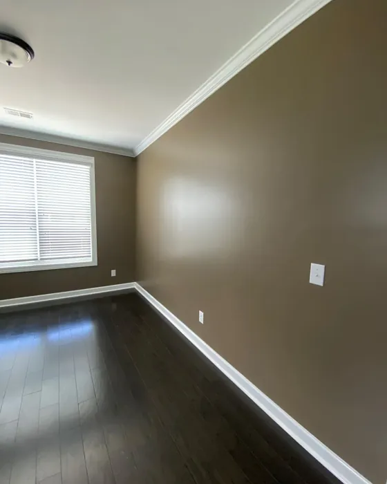 Sherwin Williams Foothills wall paint 