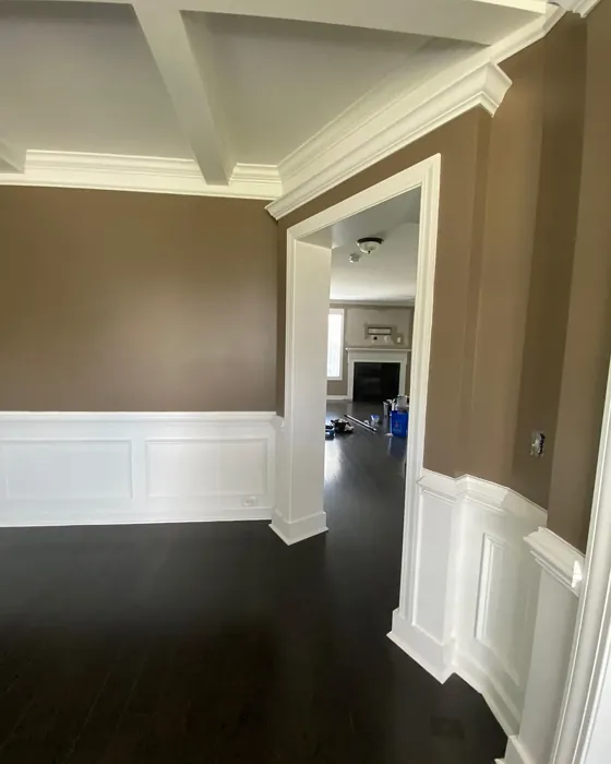 SW Foothills wall paint color review