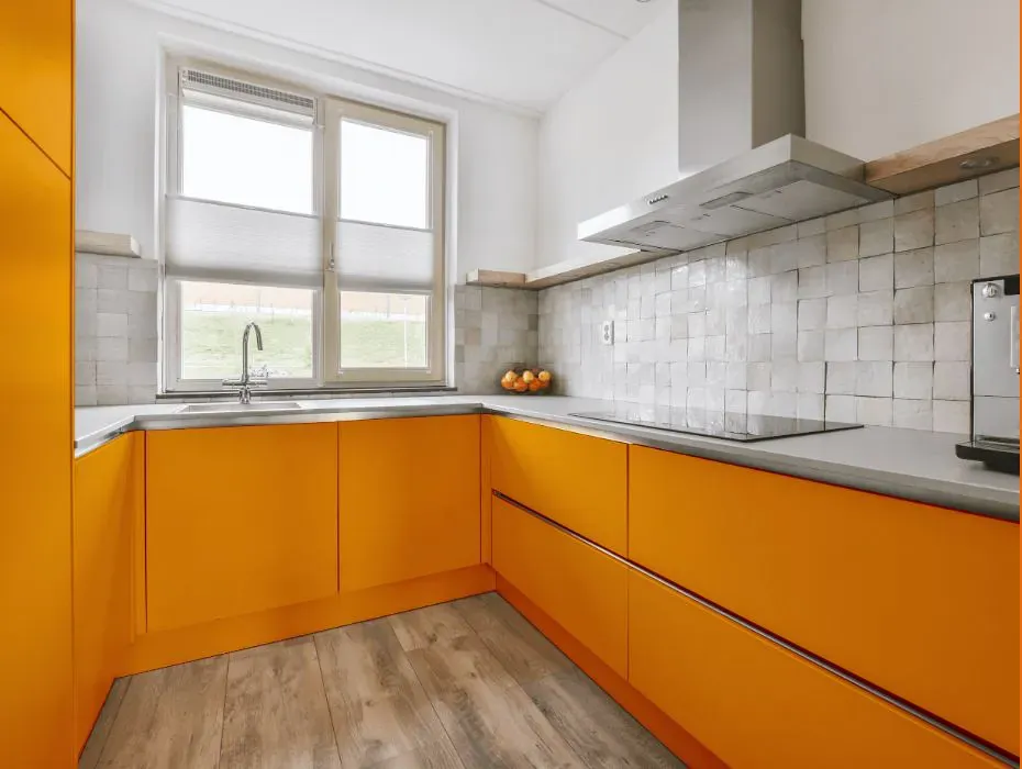 Sherwin Williams Forceful Orange small kitchen cabinets