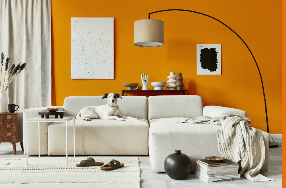 Sherwin Williams Forceful Orange cozy living room
