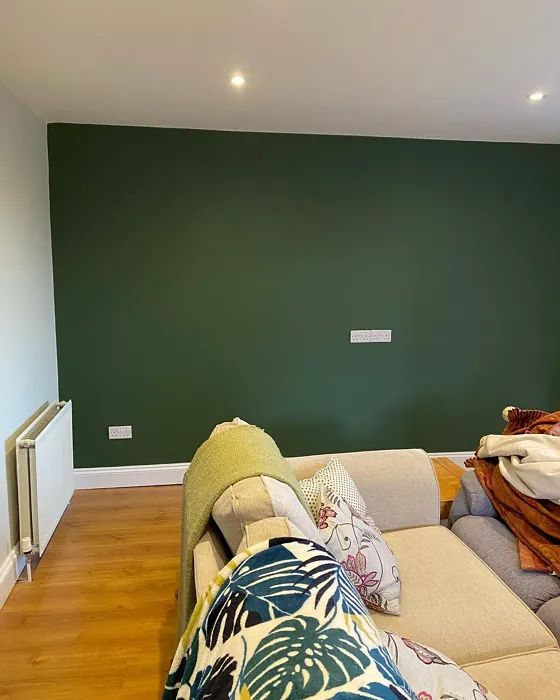 Dulux Forest Shade living room accent wall