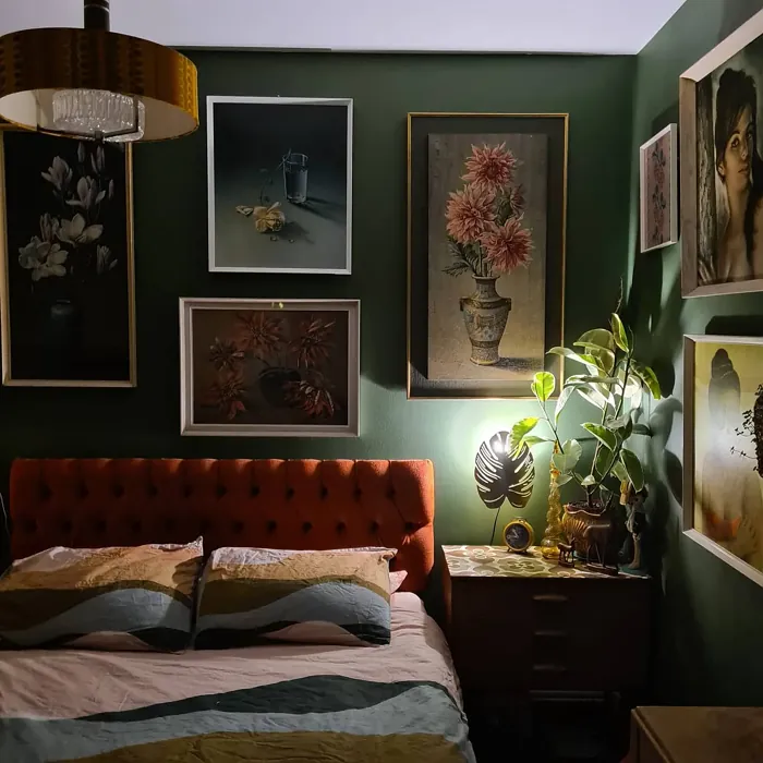 Dulux Forest Shade bedroom color