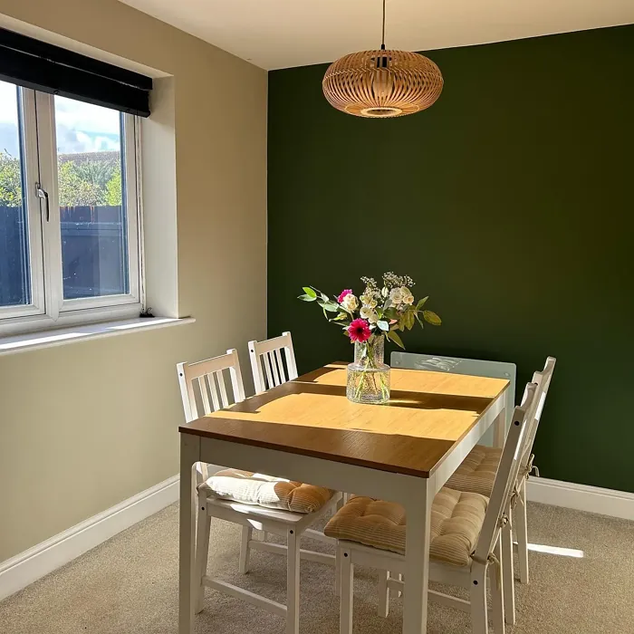 Dulux Forest Shade dining room accent wall