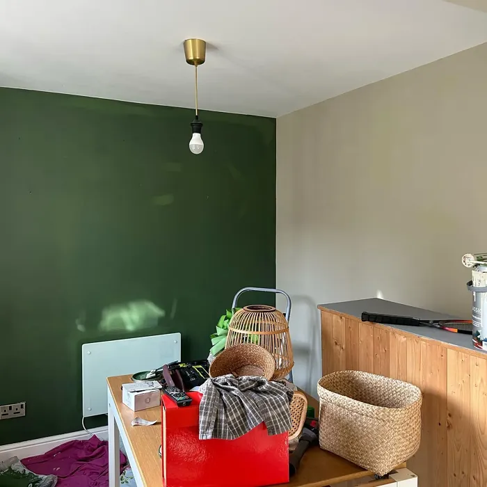 Dulux Forest Shade dining room color