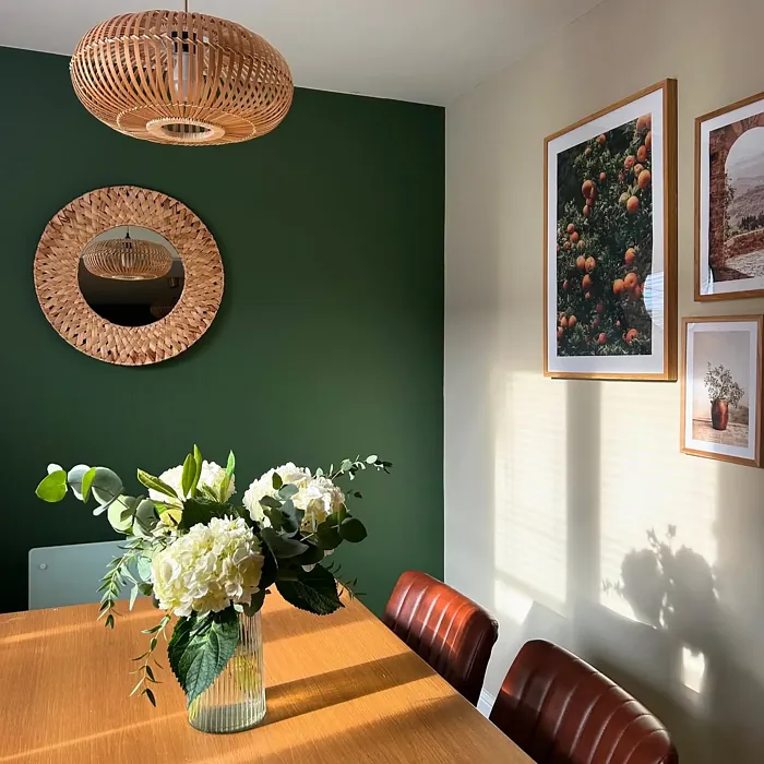 Dulux 50GY 13/136 dining room color