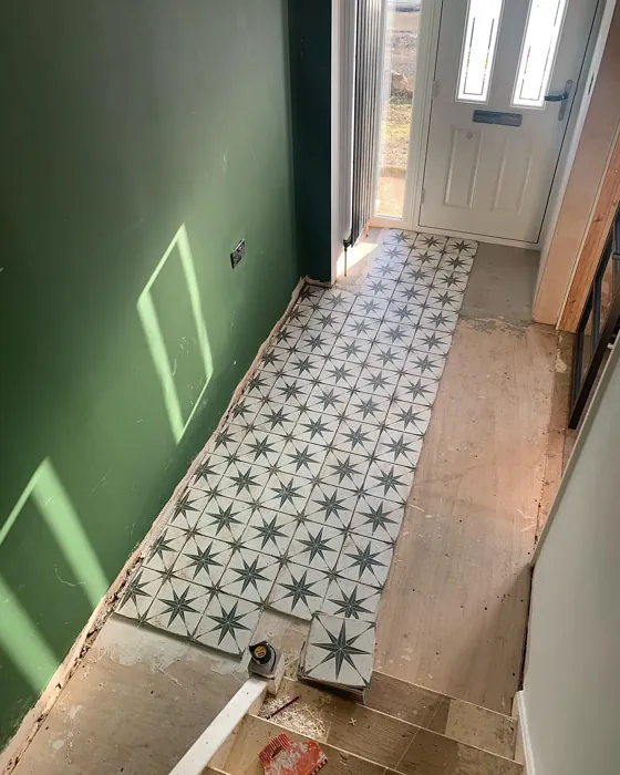 Dulux Forest Shade hallway color