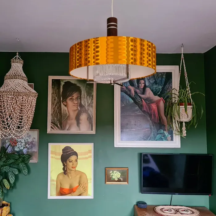 Dulux Forest Shade wall paint color