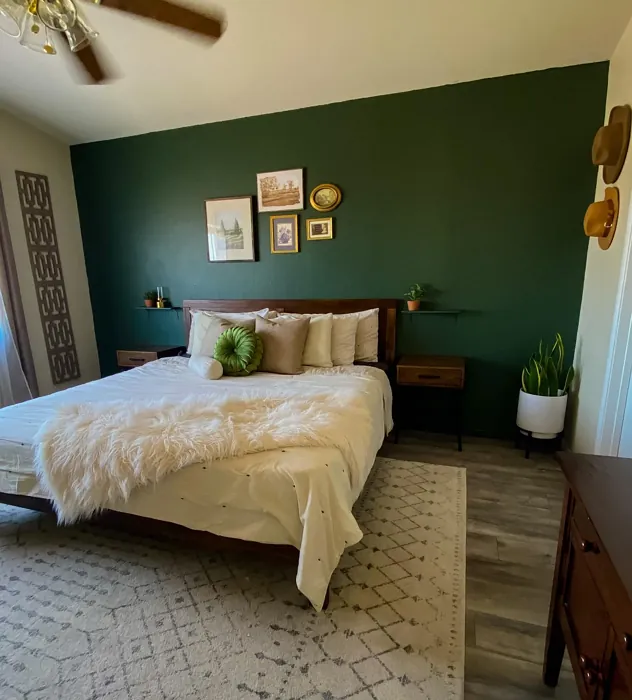 Sherwin Williams Forestwood bedroom review