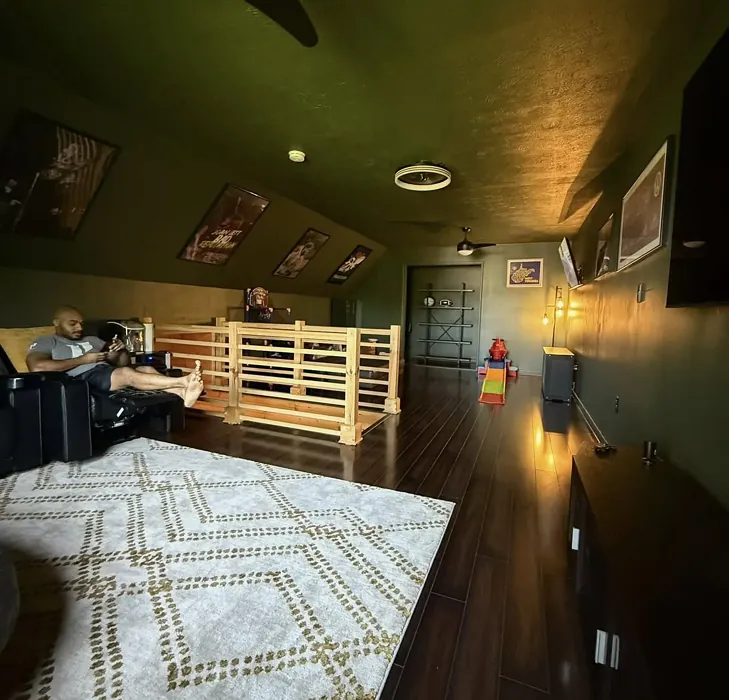 Sherwin Williams Forestwood kids' room color