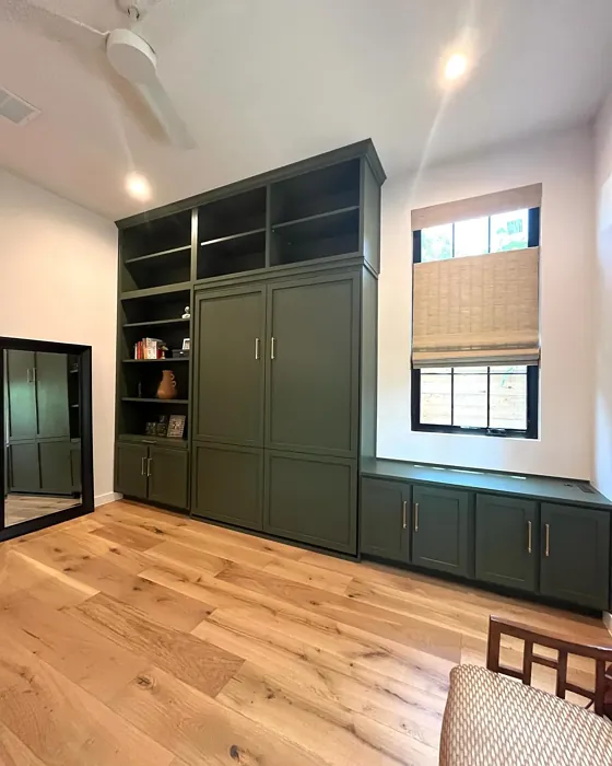 Sherwin Williams Forestwood painted cabinets color review