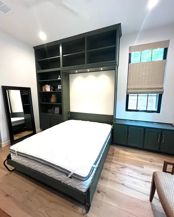 Sherwin Williams Forestwood painted cabinets review