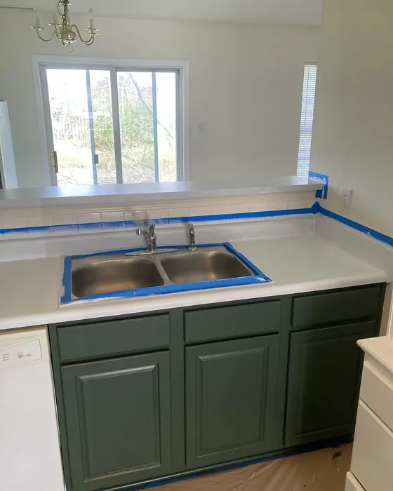 SW Forestwood kitchen cabinets color review