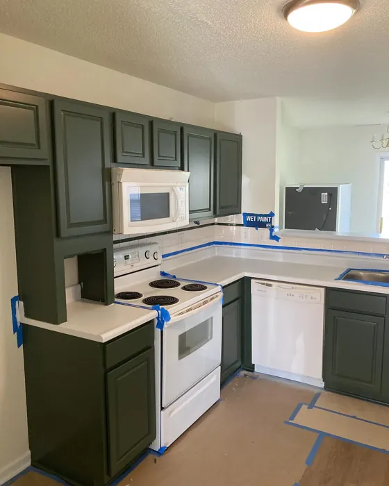 SW Forestwood kitchen cabinets color