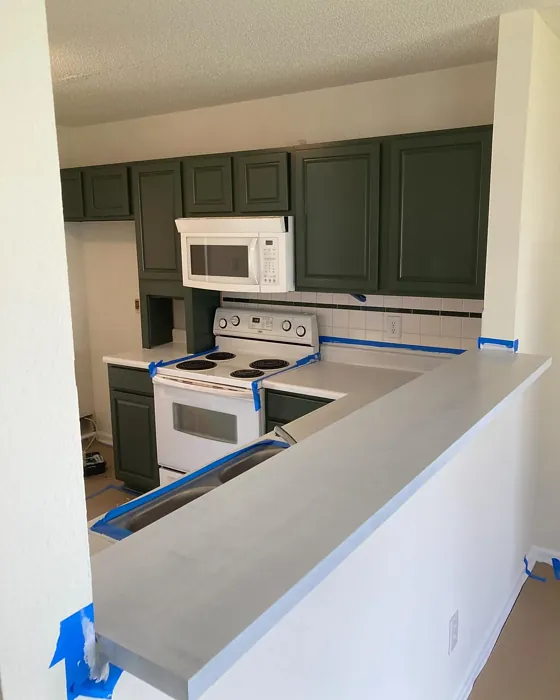 SW Forestwood kitchen cabinets paint