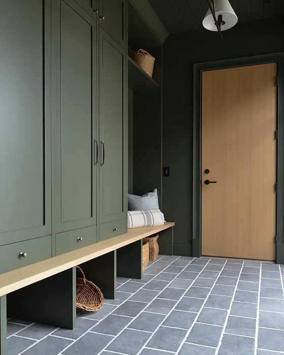 SW Forestwood hallway paint