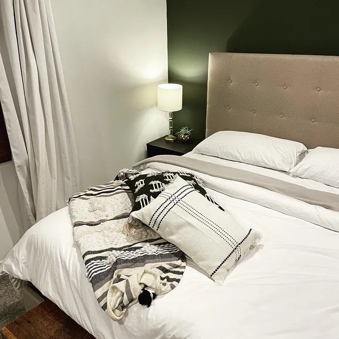 SW Forestwood bedroom color review