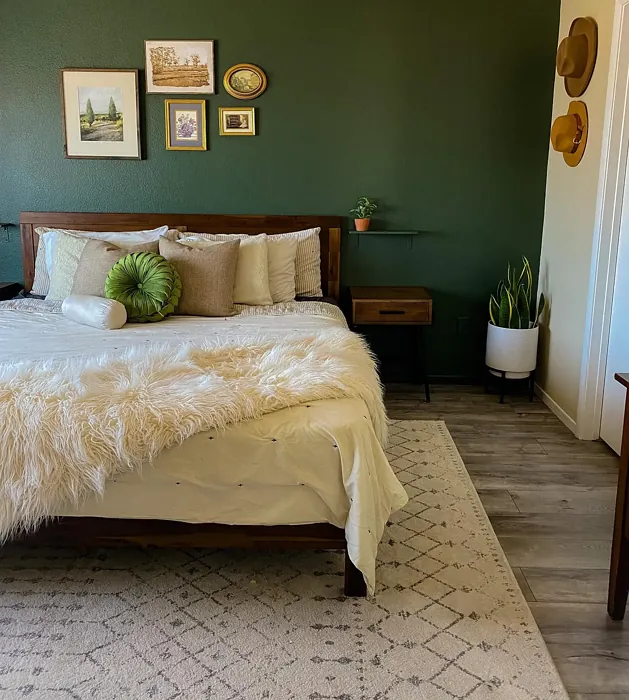 Sherwin Williams Forestwood bedroom accent wall
