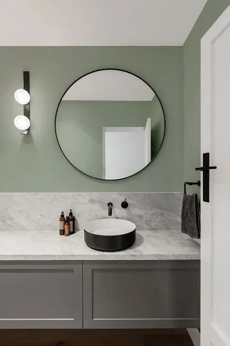 Sherwin Williams Forever Green minimalist bathroom