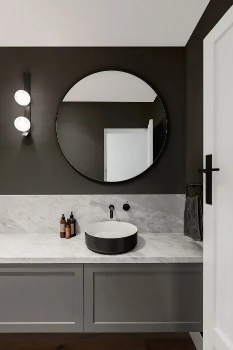 Sherwin Williams Forged Steel minimalist bathroom
