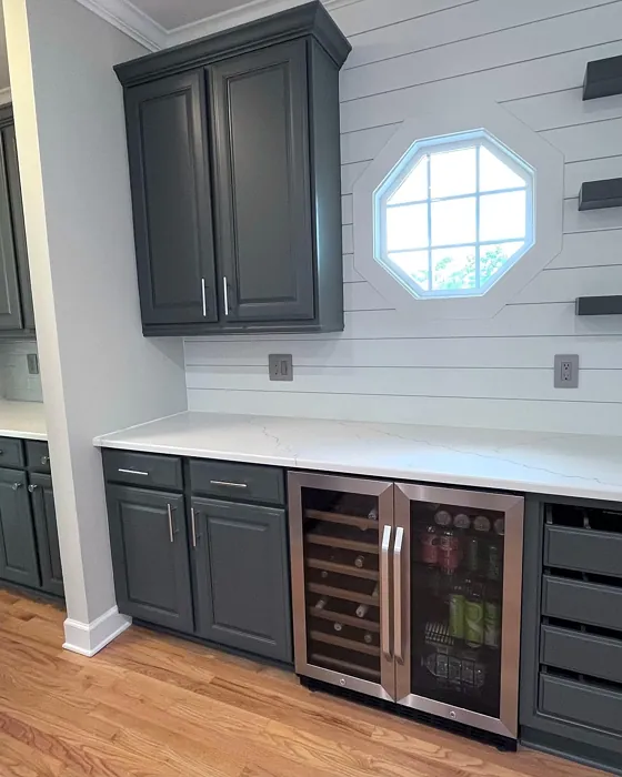 SW Forged Steel kitchen cabinets color review