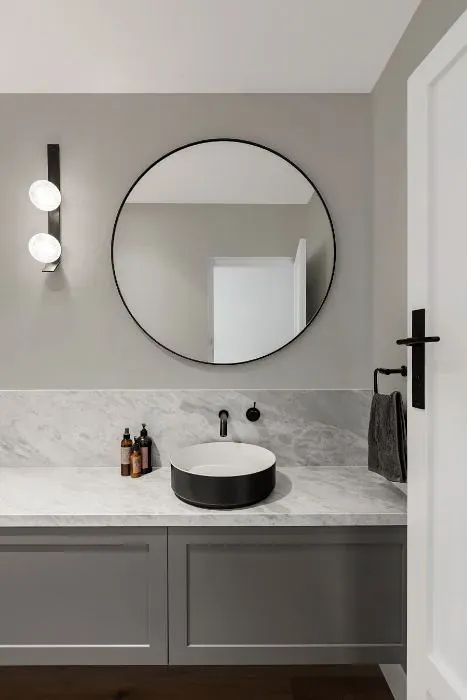 Sherwin Williams Fortitude minimalist bathroom