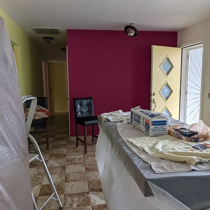 Forward Fuchsia hallway accent wall