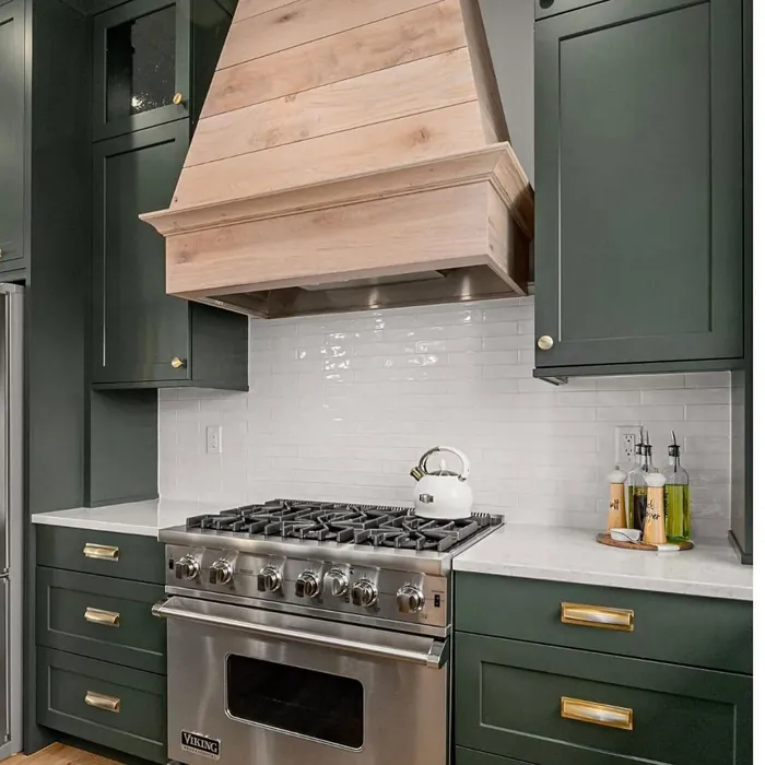 SW Foxhall Green kitchen cabinets paint