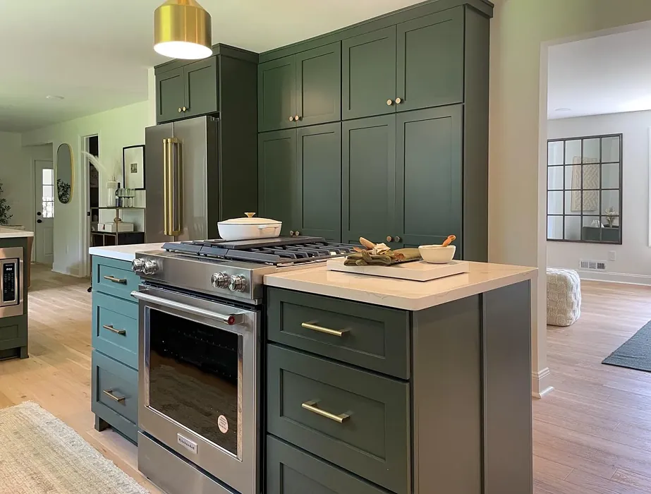 SW Foxhall Green kitchen cabinets picture