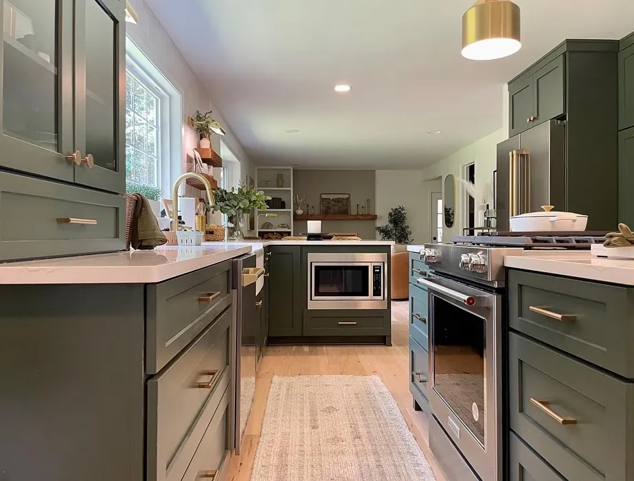 SW Foxhall Green kitchen cabinets color review