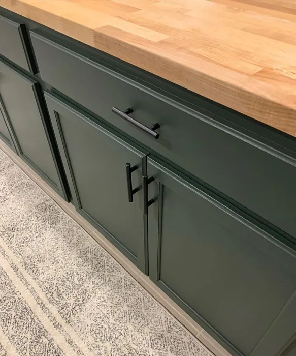 Sw Foxhall Green Kitchen Cabinets