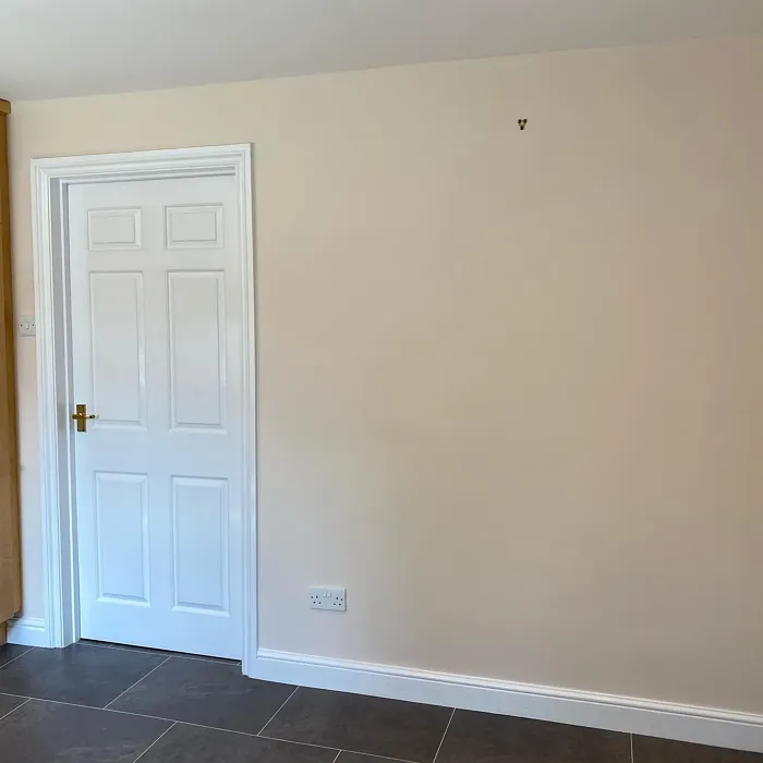 Dulux 90YR 75/072 kitchen color