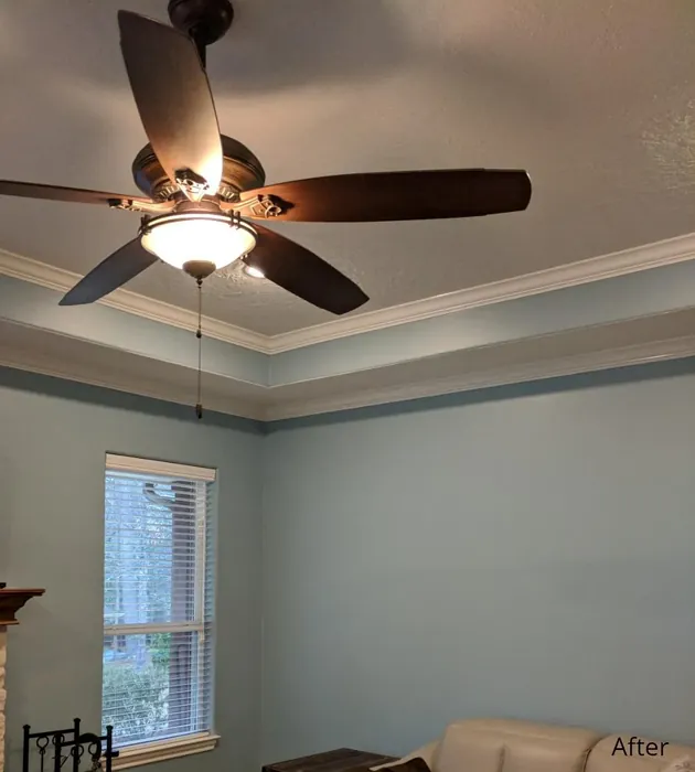 Sherwin Williams French Moire Wall Paint