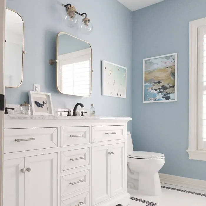 Sw French Moire Bathroom
