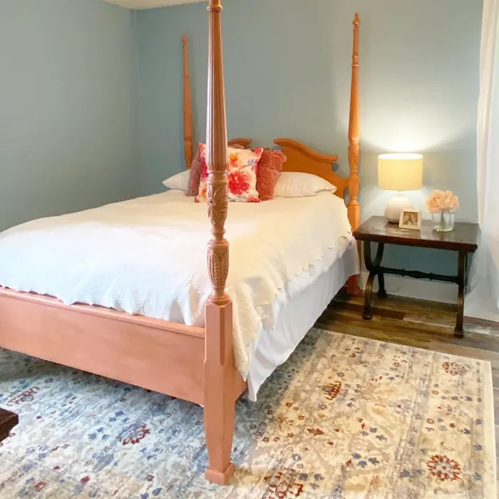 Sherwin Williams French Moire bedroom color
