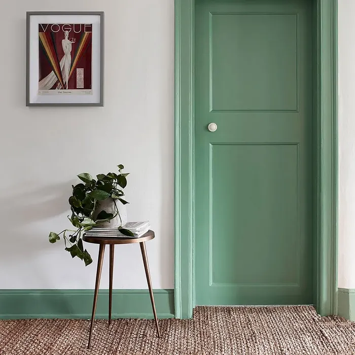 Dulux Fresh Sage door paint