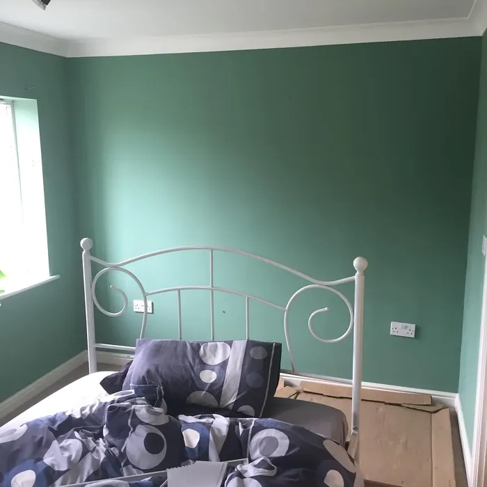 Dulux Fresh Sage bedroom interior