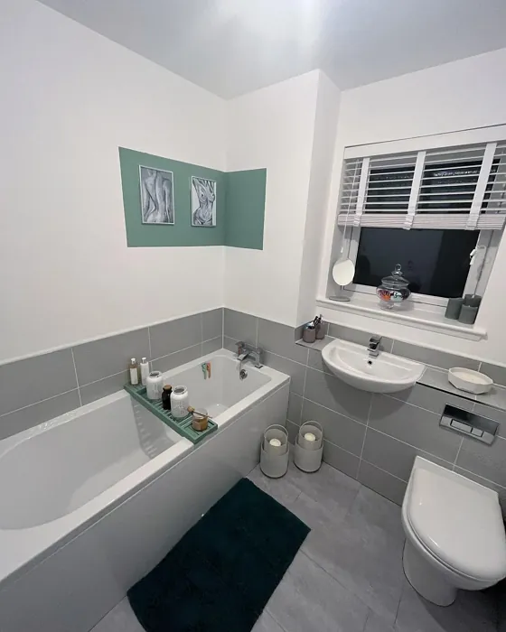 Dulux Fresh Sage bathroom color-block