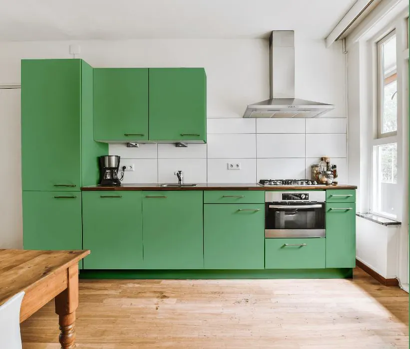 Sherwin Williams Frosted Emerald kitchen cabinets